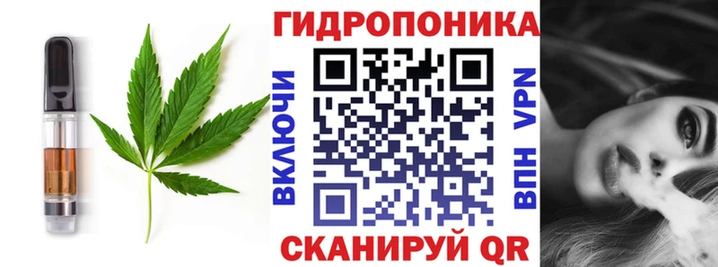 купить наркоту  Люберцы  Печенье с ТГК конопля 