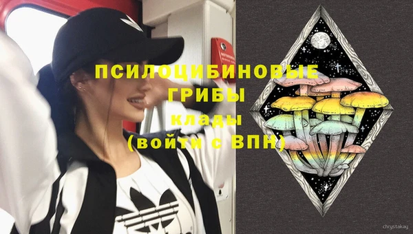 spice Алзамай