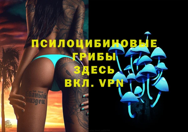 индика Алексеевка