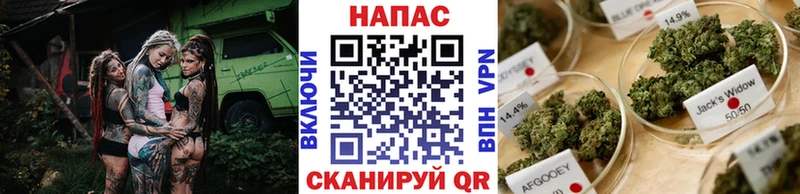 Конопля ГИДРОПОН  Люберцы 